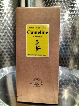 Miel de Châtaignier 750g - Délices des Abeilles : miels et nougats en Creuse